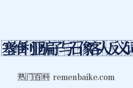 塞维利亚骗子与石像客人反义词是什么意思的图片